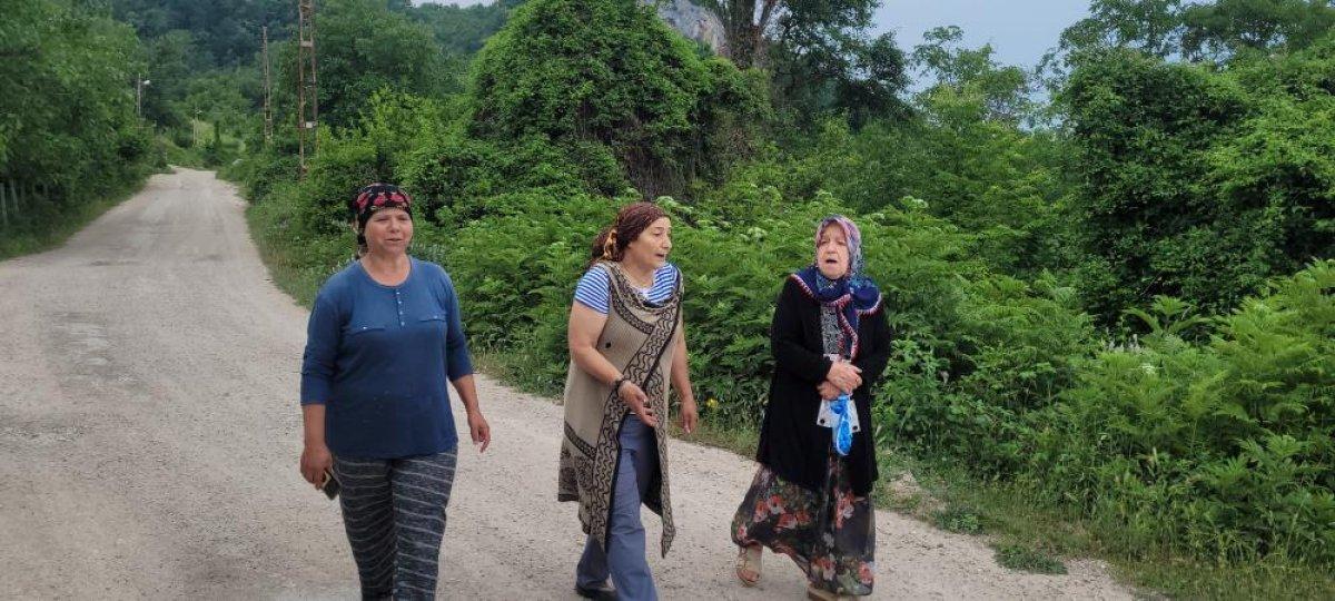 Kastamonu'da ayılar gündüz vakti yerleşim yerlerine inmeye başladı