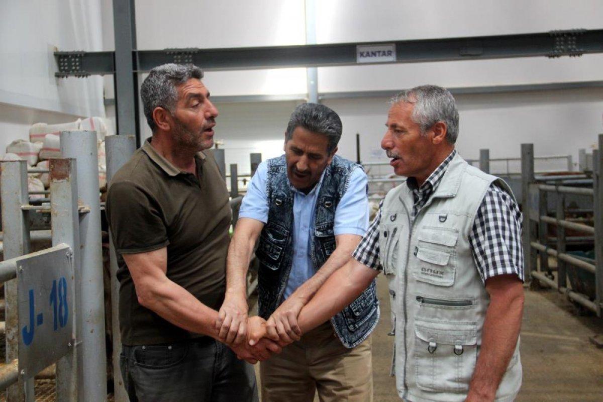 Kurban pazarlarında hareketlilik başladı