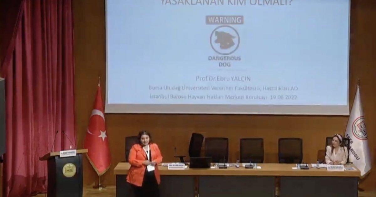 İstanbul Barosu'ndan sokak köpeği kurultayı