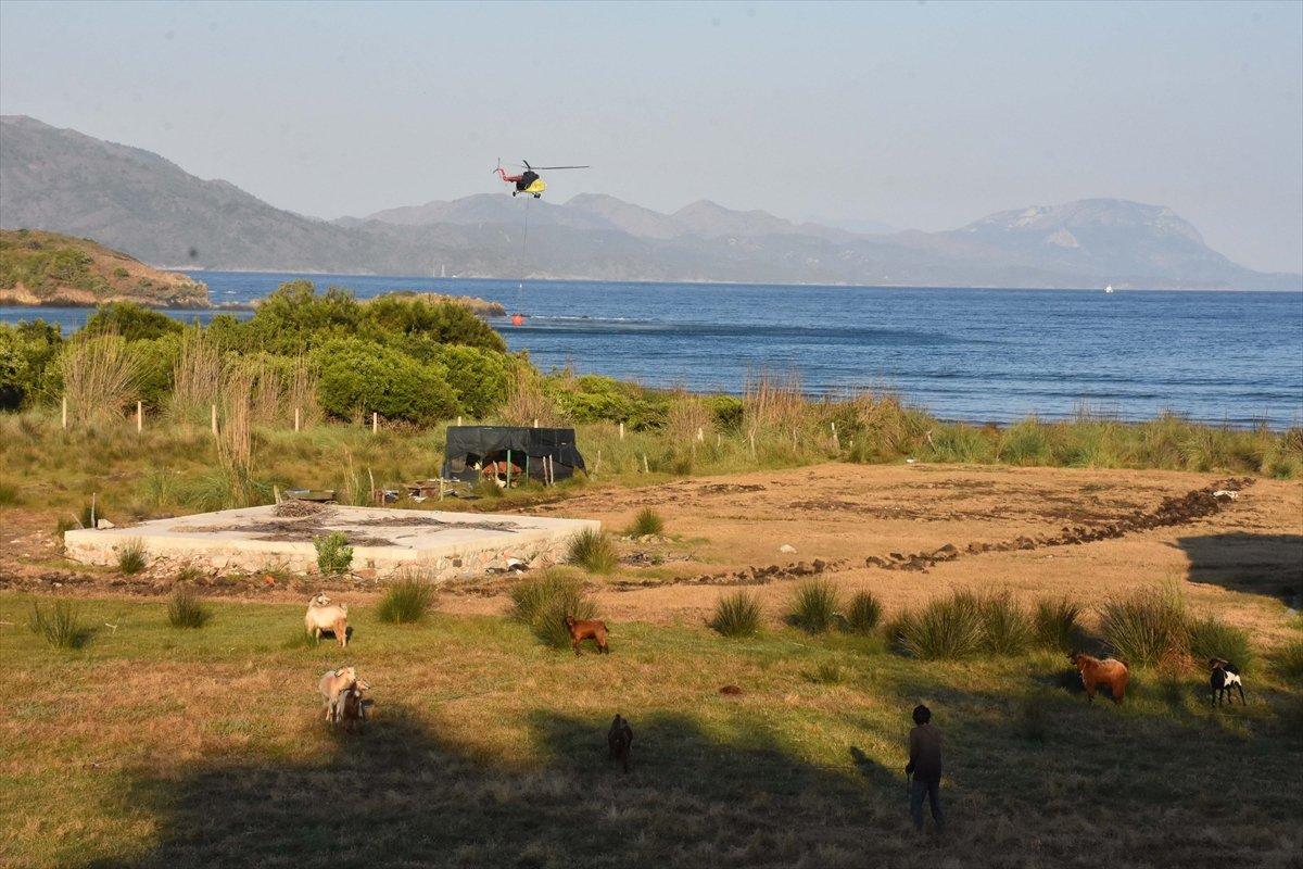 Meral Akşener'den 'orman yangınlarına uçak yok' provokasyonu