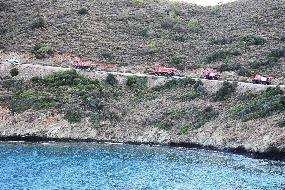 Meral Akşener'den 'orman yangınlarına uçak yok' provokasyonu