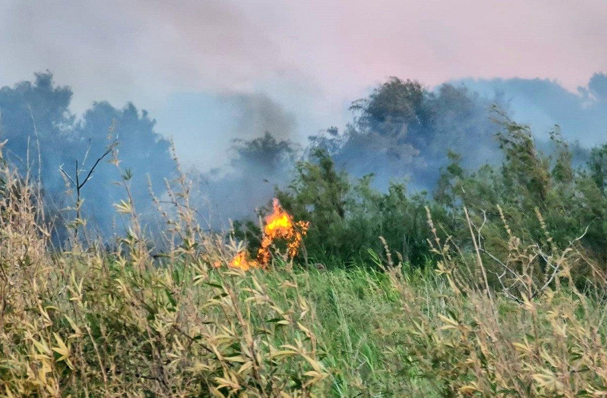 Antalya'da, 2 farklı noktada çıkan yangın söndürüldü