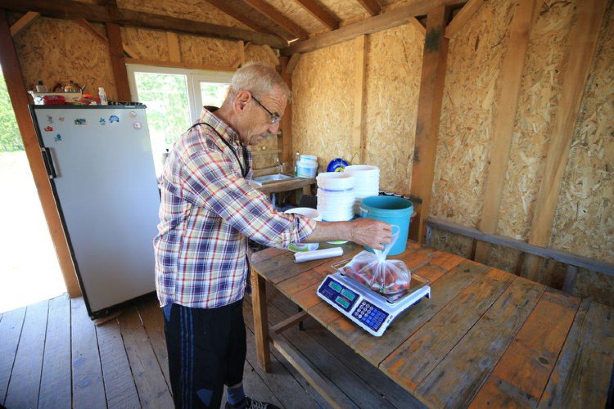 Kırklareli'nde dalından toplanan sebze ve meyvenin parası kulübeye bırakılıyor