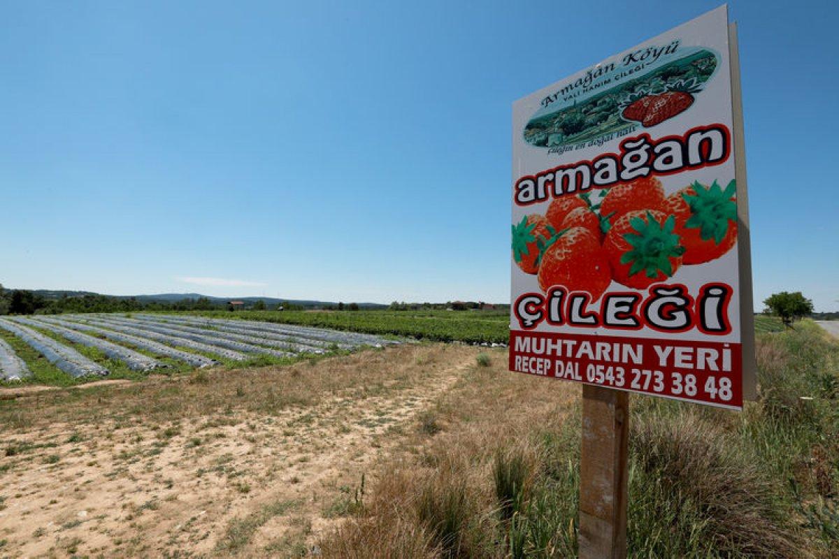 Kırklareli'nde dalından toplanan sebze ve meyvenin parası kulübeye bırakılıyor