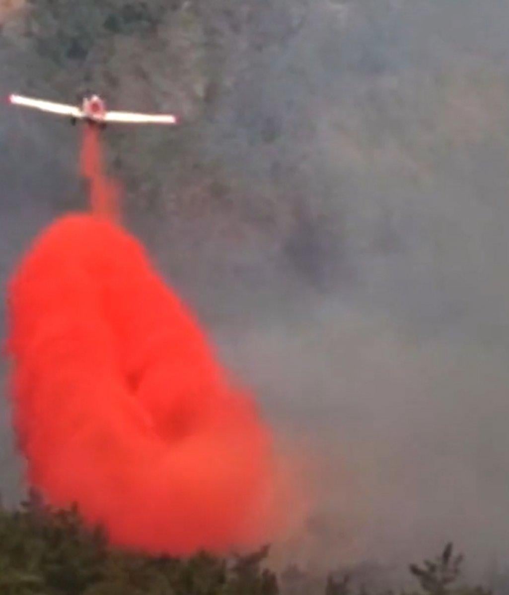 Meral Akşener'den 'orman yangınlarına uçak yok' provokasyonu