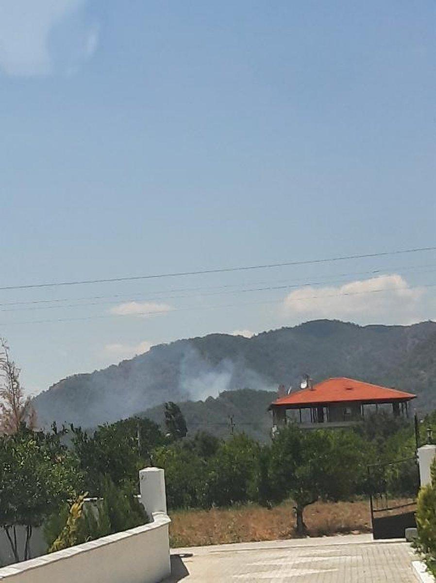 Köceğiz'de ormanlık alanda yangın çıktı