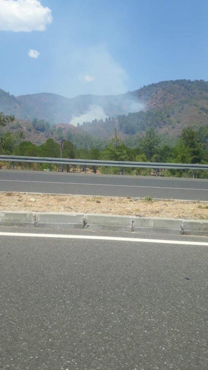 Köceğiz'de ormanlık alanda yangın çıktı