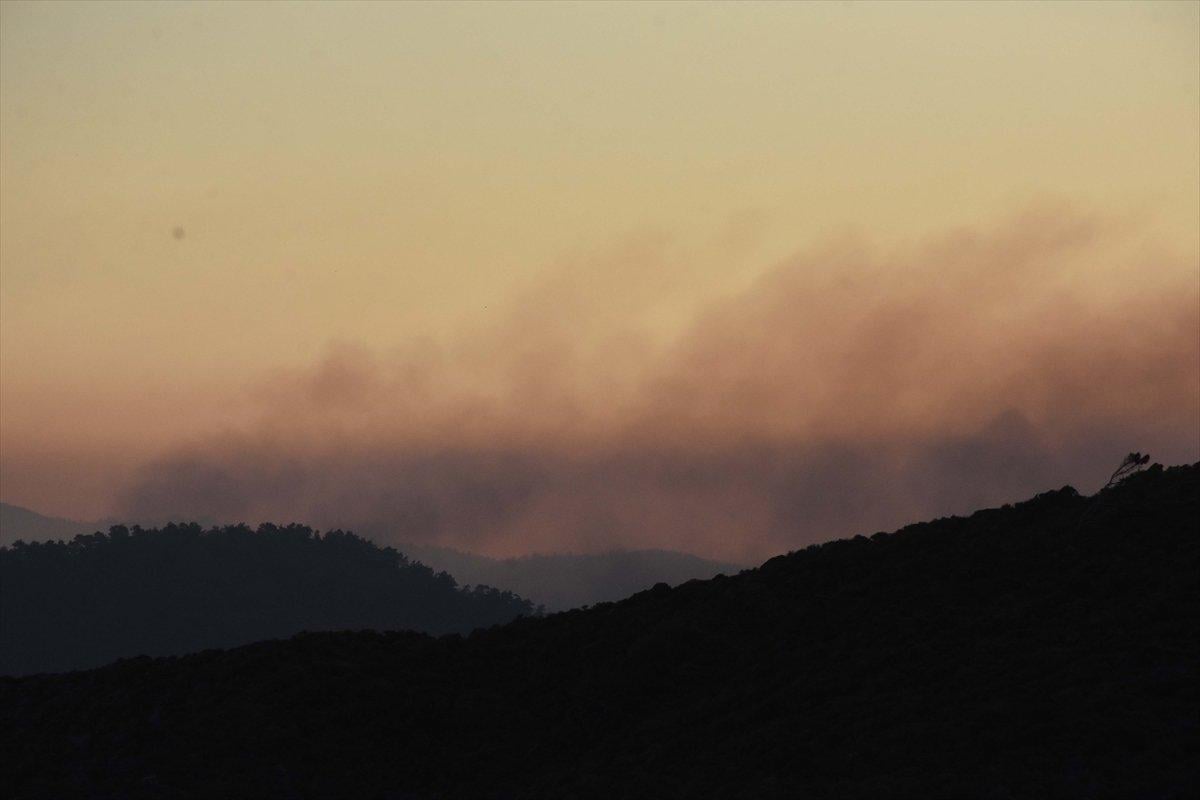 Meral Akşener'den 'orman yangınlarına uçak yok' provokasyonu