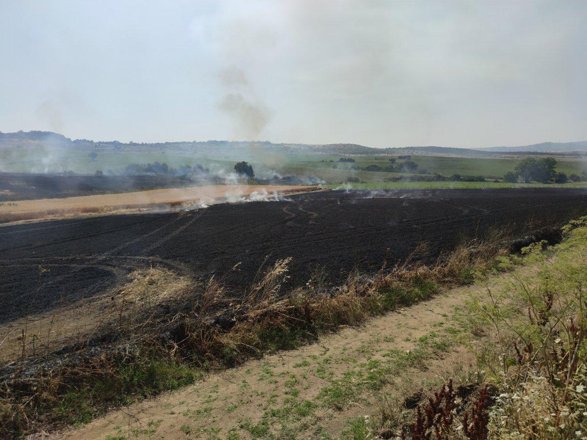Dünya gıda kriziyle boğuşurken, Türkiye'de buğday tarlaları yanıyor