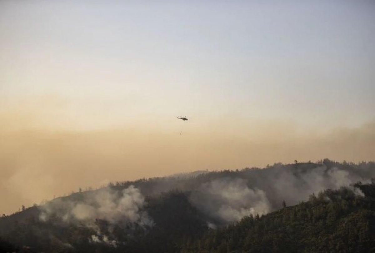 Marmaris orman yangınında gözaltı