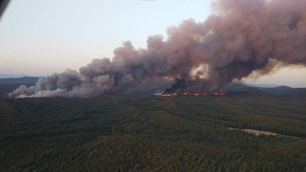 Marmaris orman yangınında gözaltı