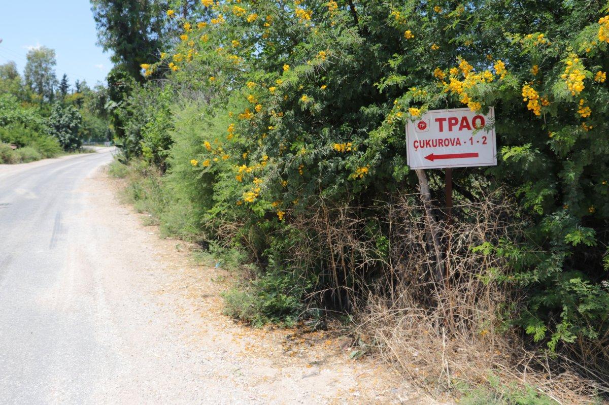 Adana’da bulunan petrol sevinç yarattı