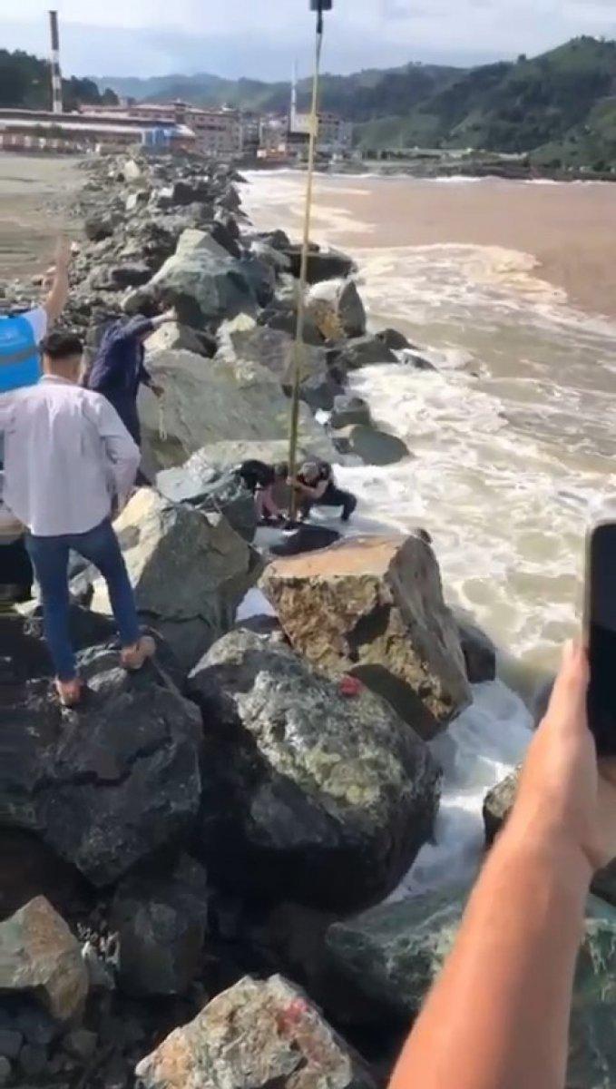 Rize'de kurbanlık boğa denize düştü, vinçle kurtarıldı