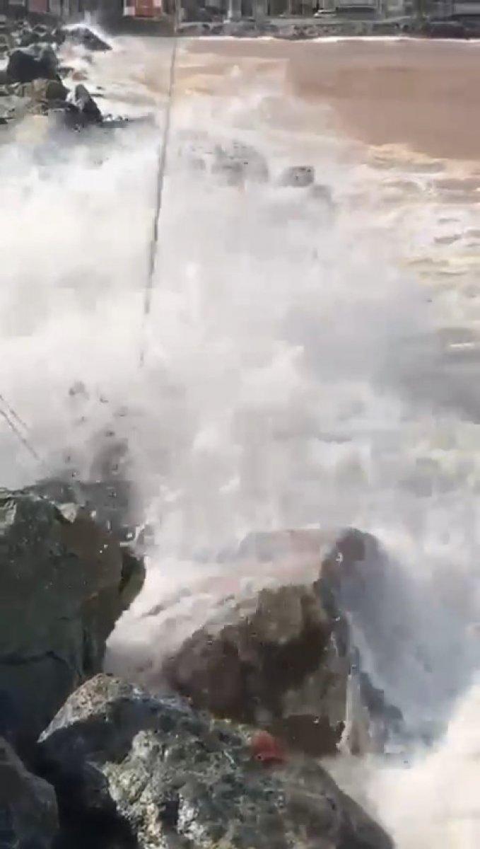 Rize'de kurbanlık boğa denize düştü, vinçle kurtarıldı