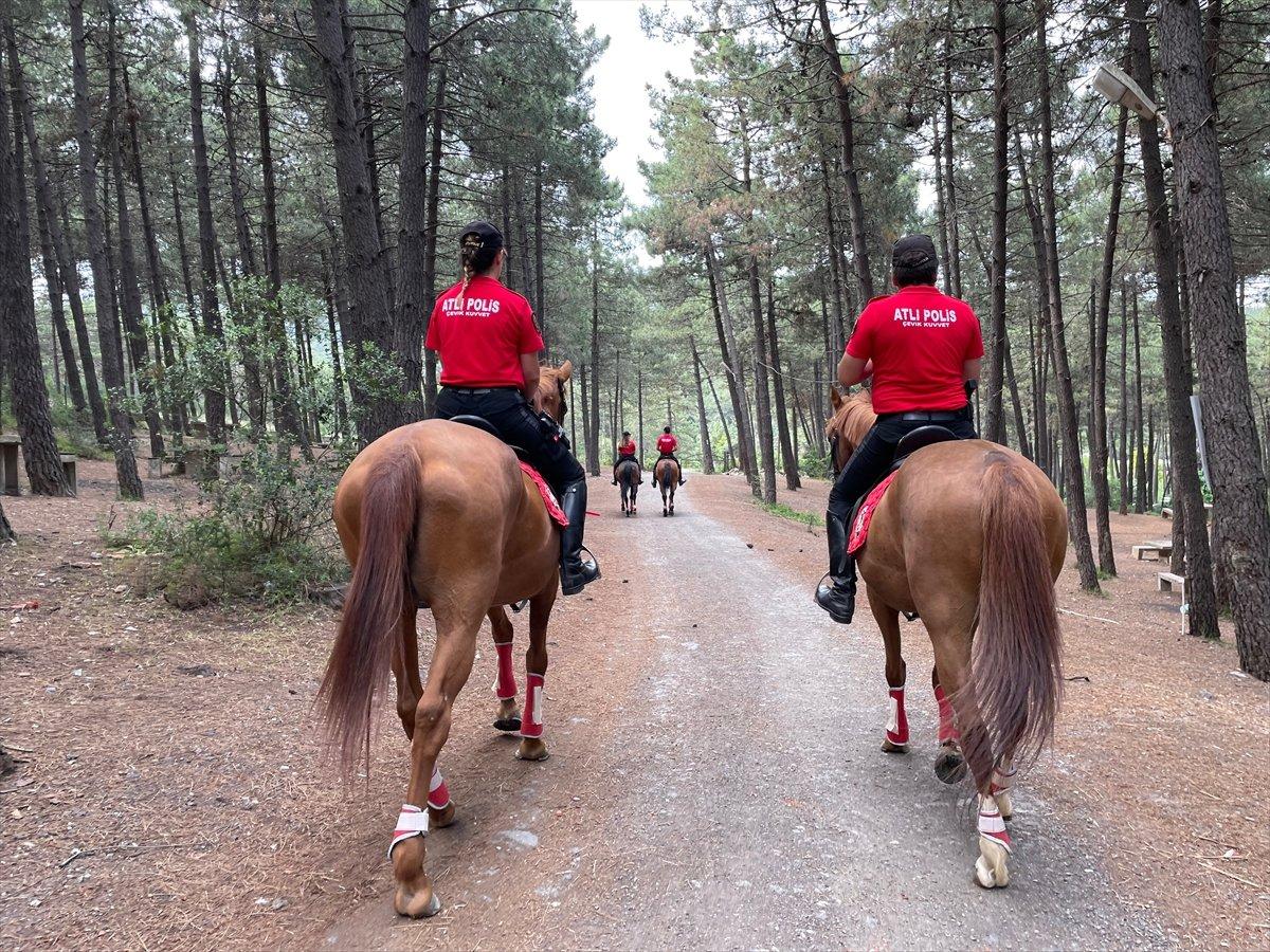 İstanbul'da atlı polisler önleyici yangın denetiminde