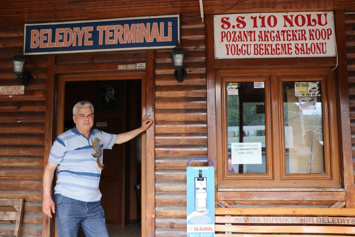 Adana'da bitkin halde bulup beslediği sincap, çay ocağının neşesi oldu