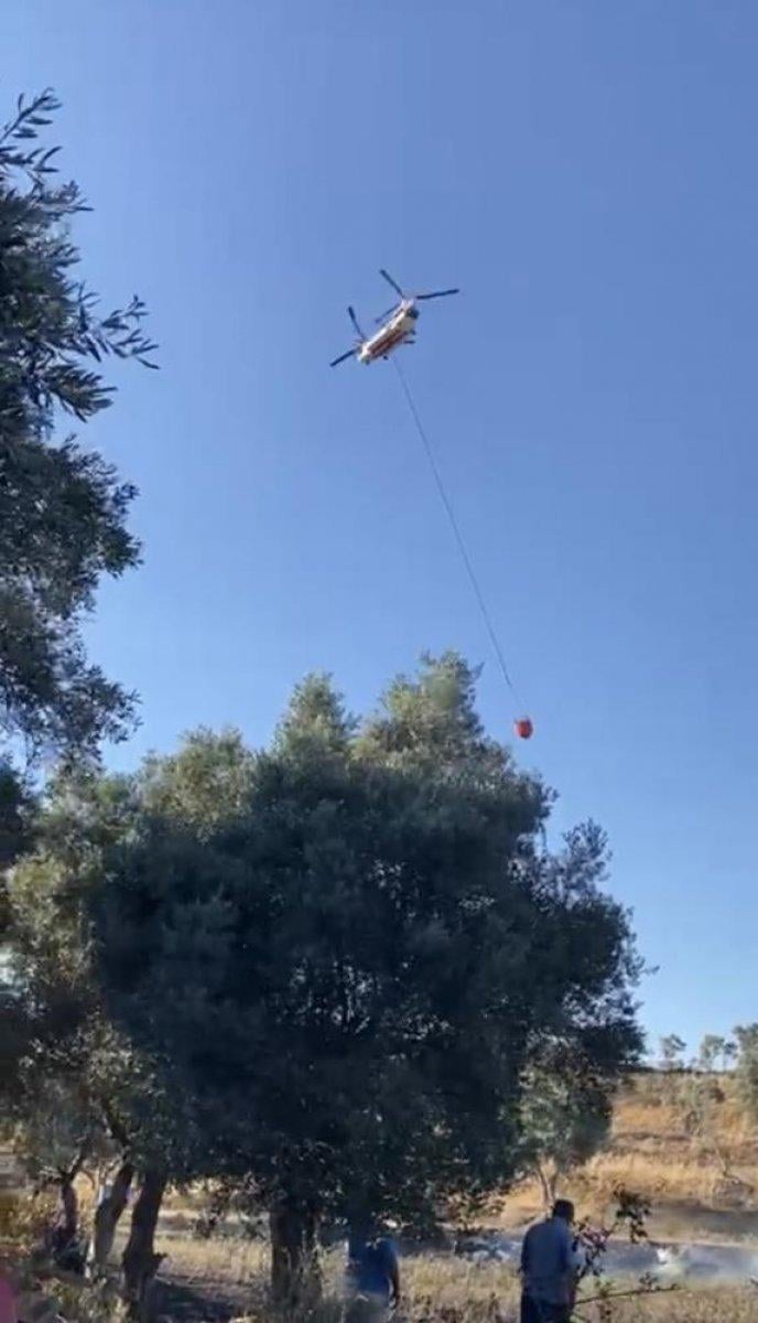 Muğla'da 50 dönüm zeytinlik alan yangında zarar gördü