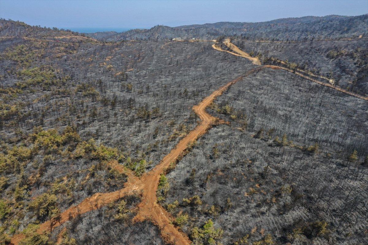Marmaris yangınıyla küle dönen orman alanları