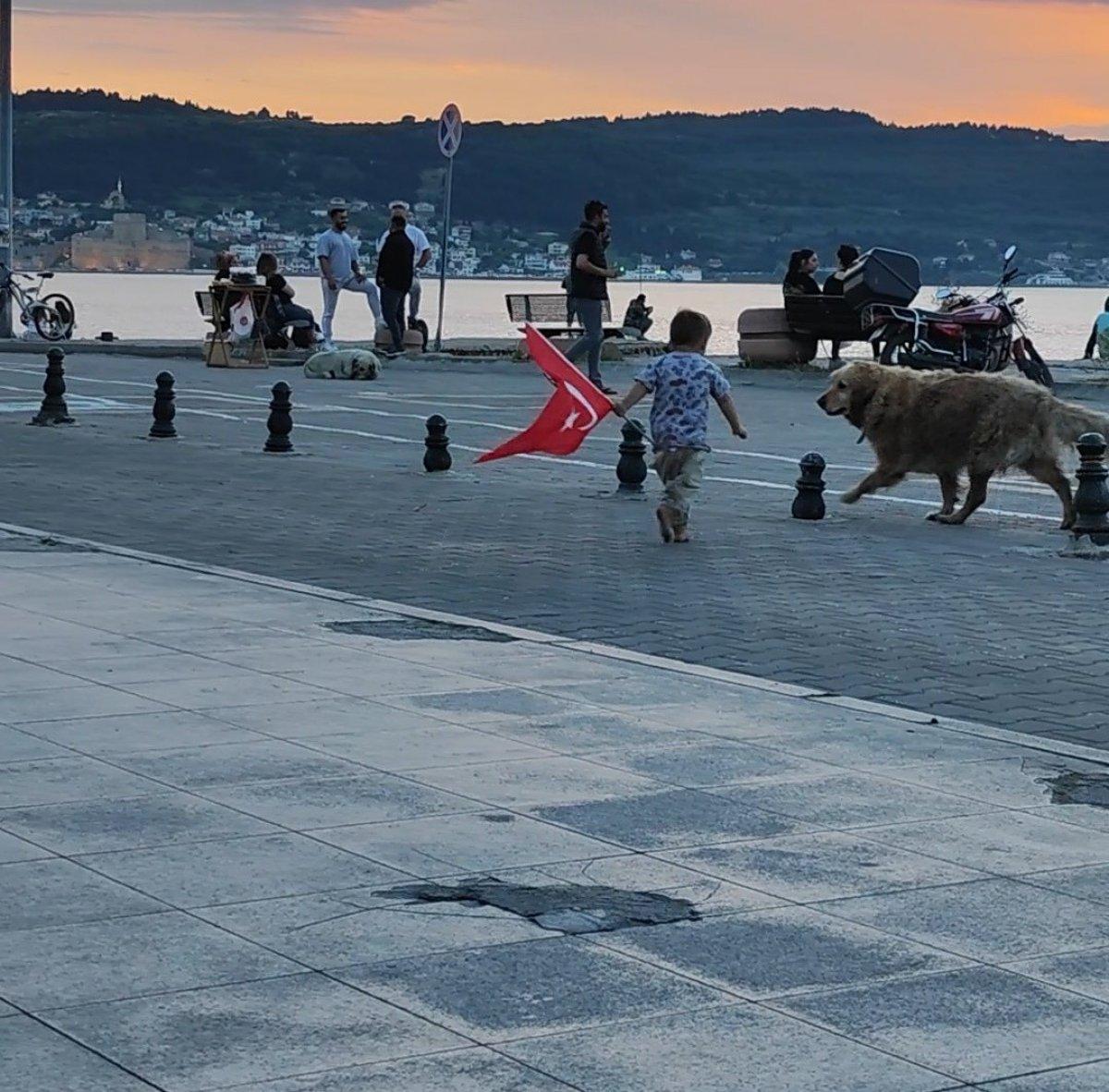Çanakkale'de bir çocuk, yerdeki Türk bayrağını kaldırıdı
