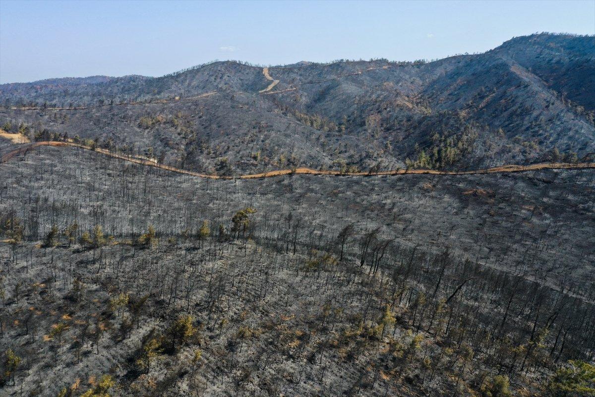 Marmaris yangınıyla küle dönen orman alanları