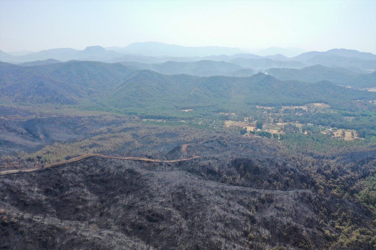 Marmaris yangınıyla küle dönen orman alanları