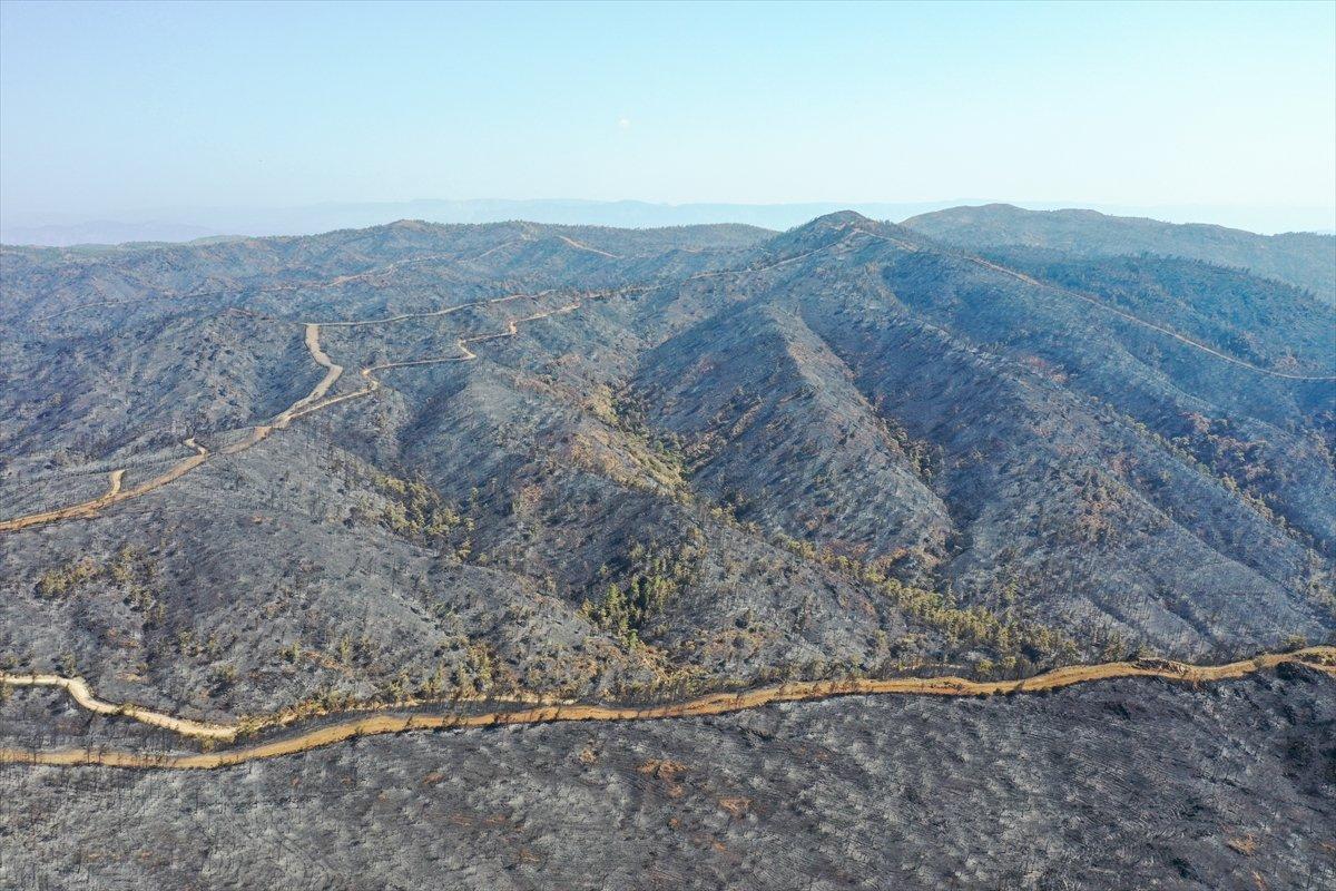 Marmaris yangınının bilançosu: Yeşilden eser kalmadı
