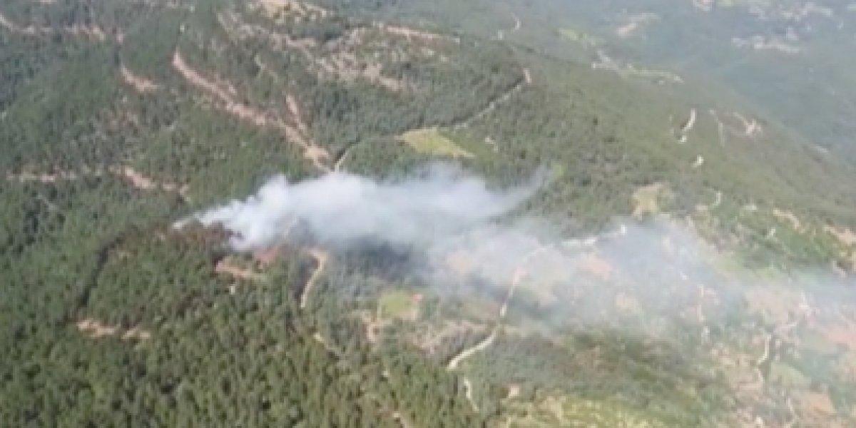 İzmir'de korkutan orman yangını