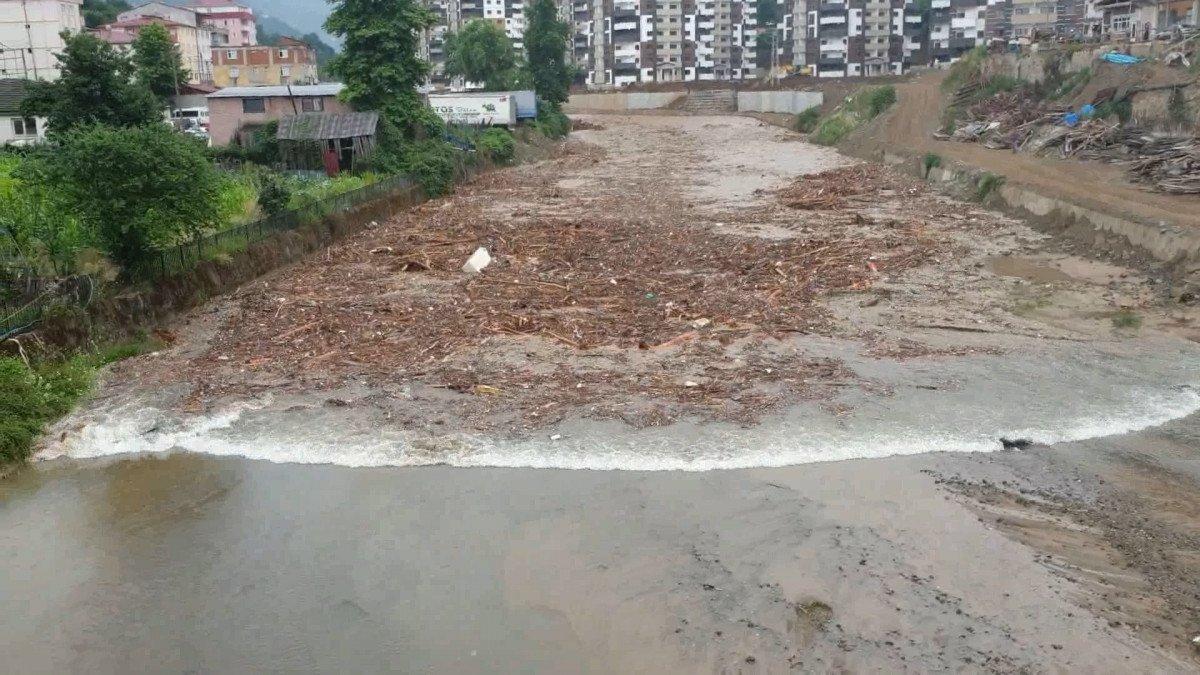 Doğu Karadeniz için 'sünger şehir' modeli önerisi