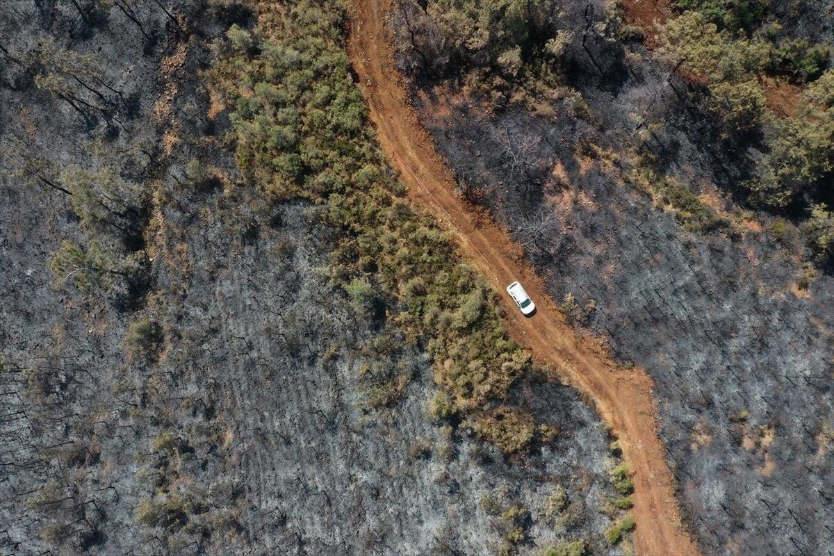Marmaris yangınının bilançosu: Yeşilden eser kalmadı