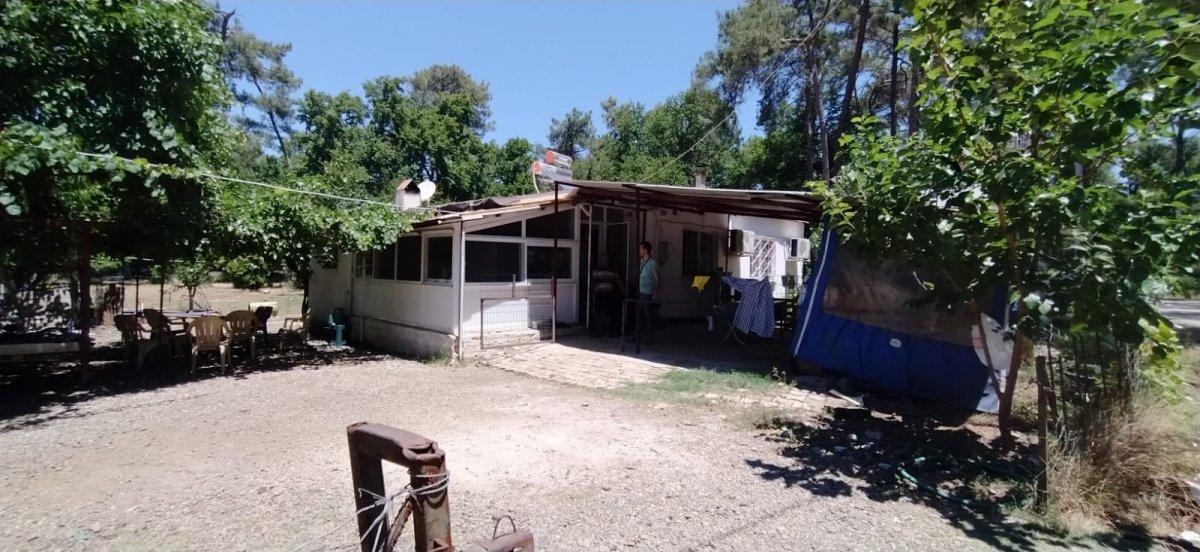 Marmaris'teki yangından etkilenen aile: Artık arıların bal yapacağı ağaçlar kalmadı