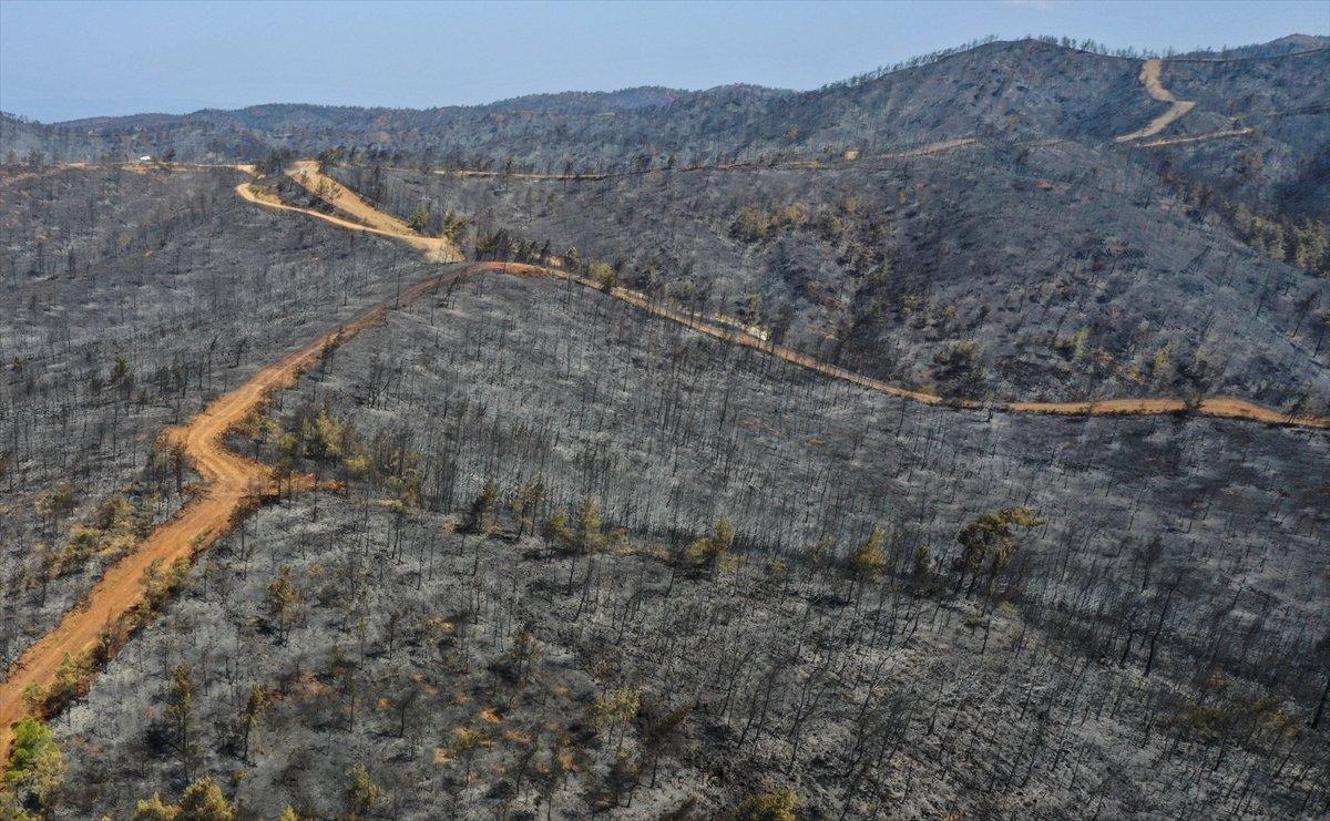 Marmaris yangınının bilançosu: Yeşilden eser kalmadı