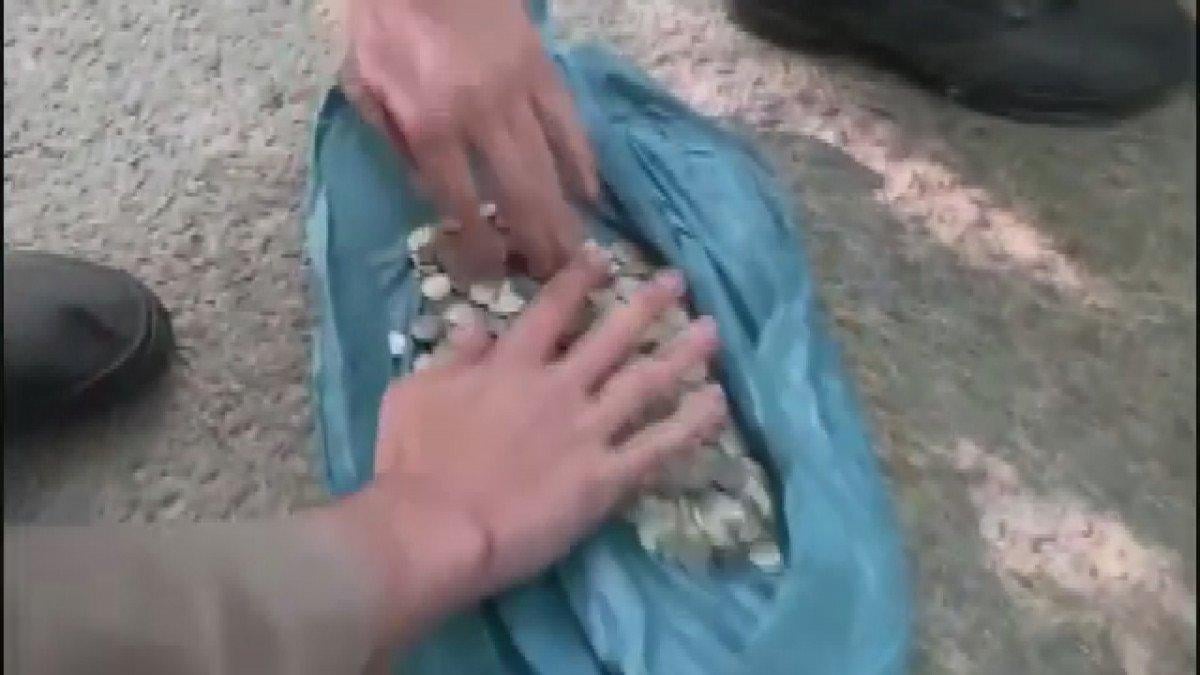 İstanbul'da jandarmaya sikke satmaya çalıştı: 715 adet sikke ele geçirildi