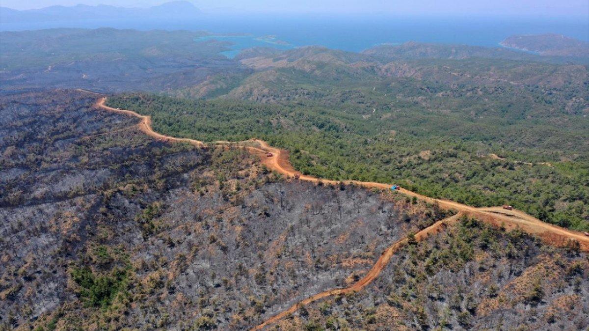 Marmaris yangınının büyümemesinde emniyet şeridi etkili oldu
