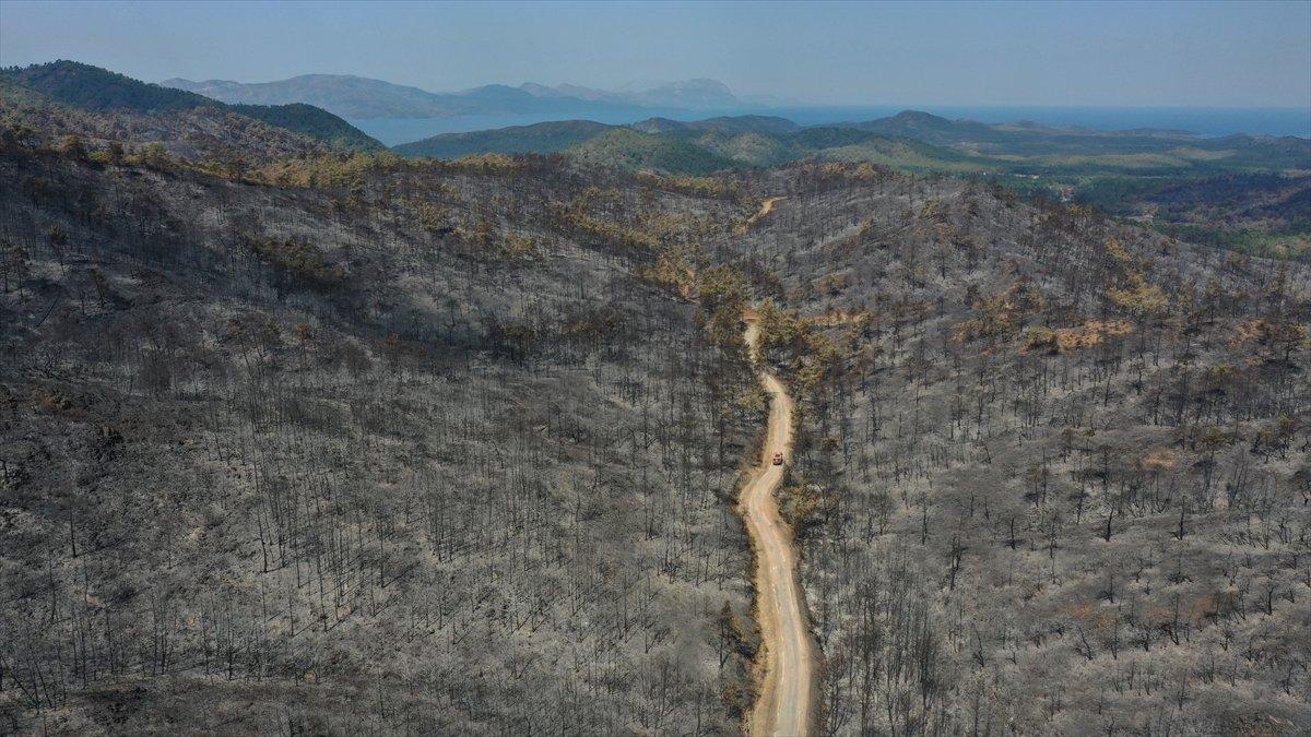 Marmaris'te süren soğutma çalışmaları havadan görüntülendi