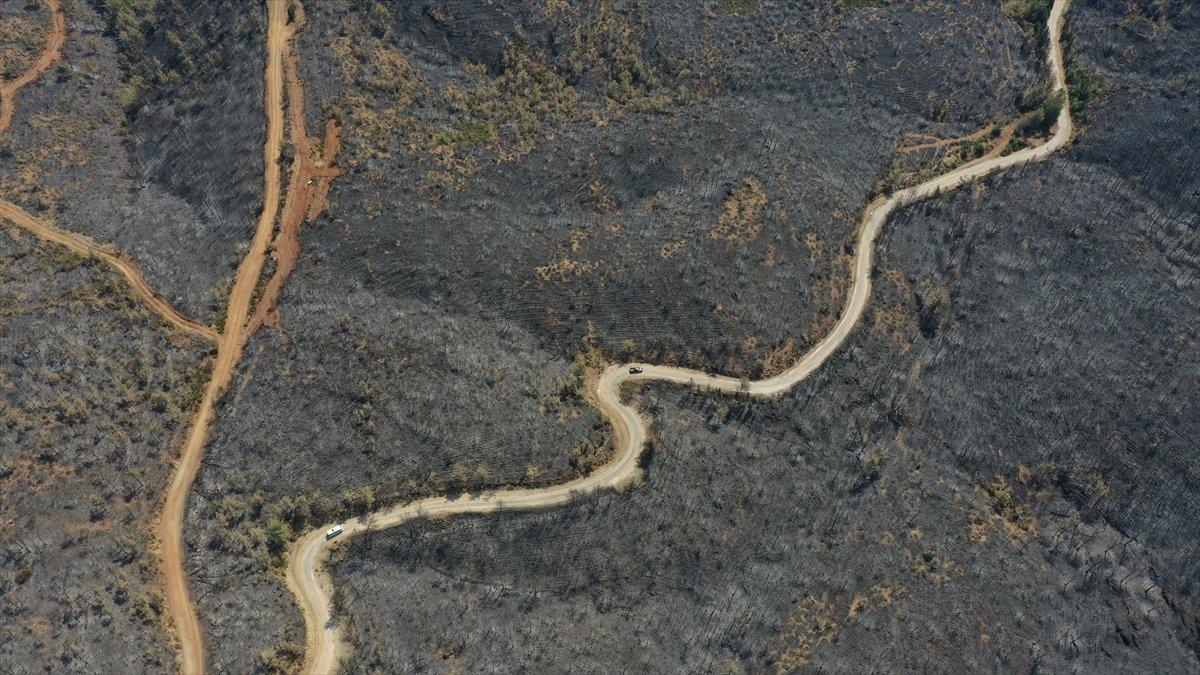 Marmaris'te süren soğutma çalışmaları havadan görüntülendi