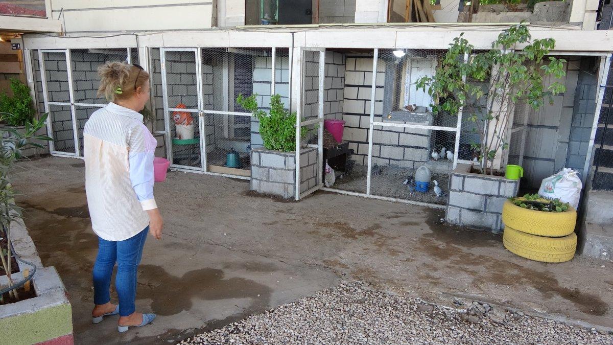 Türkiye’nin ‘kuşçu ablası’