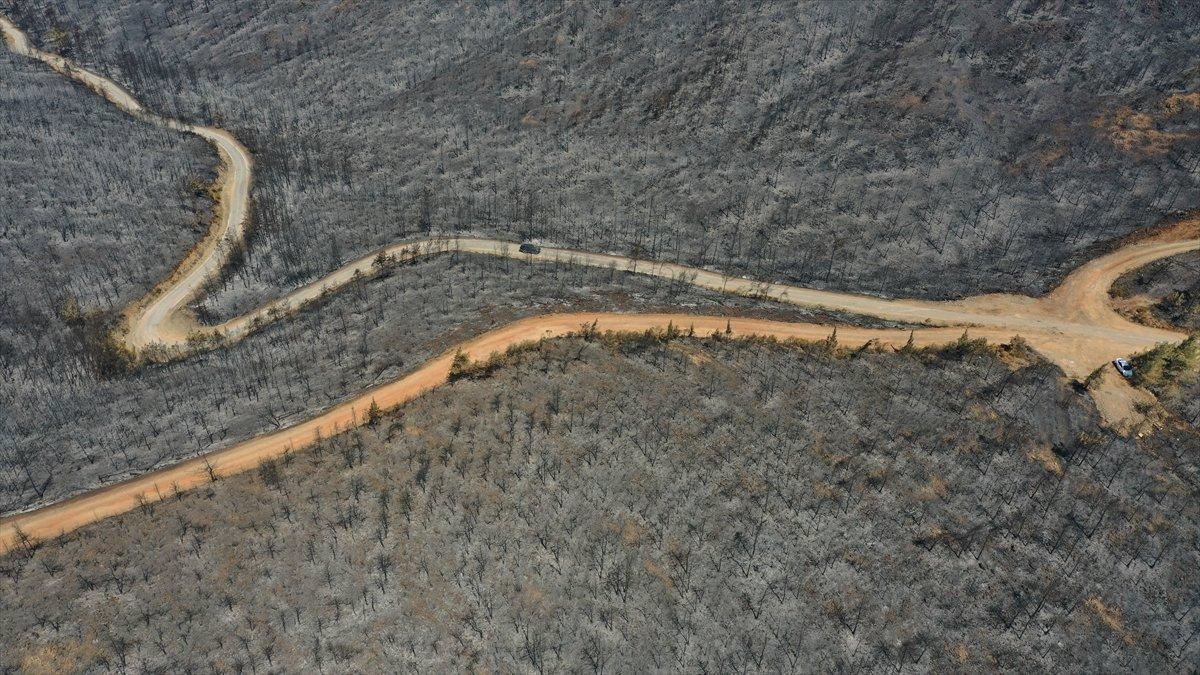 Marmaris'te süren soğutma çalışmaları havadan görüntülendi