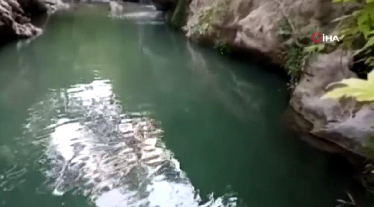 Osmaniye'de 16 yaşındaki çocuk girdiği şelalede boğuldu