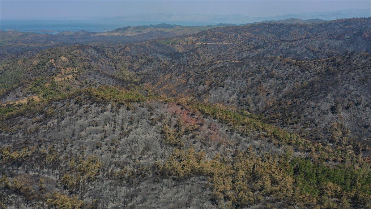 Marmaris'te süren soğutma çalışmaları havadan görüntülendi