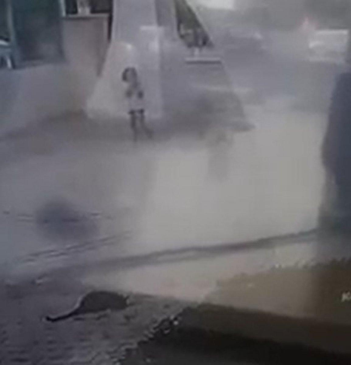 Antalya'da aracıyla kedinin üstünden geçti