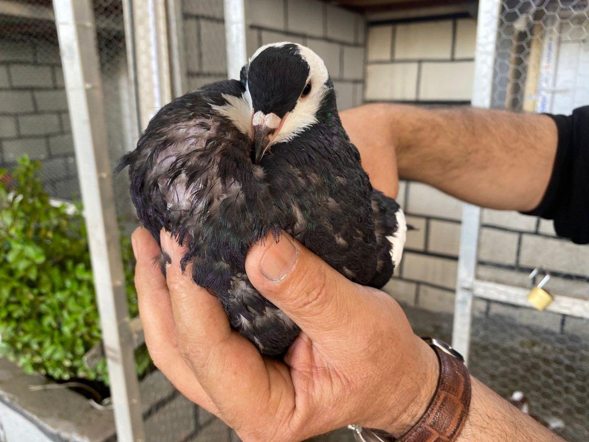 Türkiye’nin ‘kuşçu ablası’