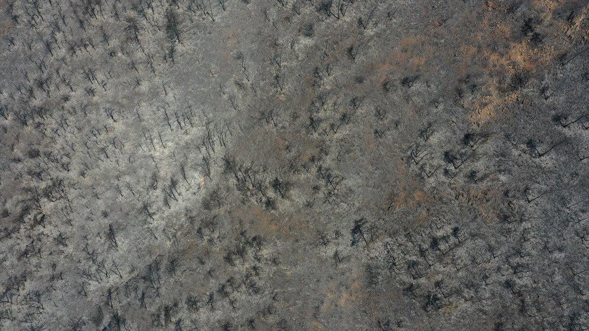 Marmaris'te süren soğutma çalışmaları havadan görüntülendi