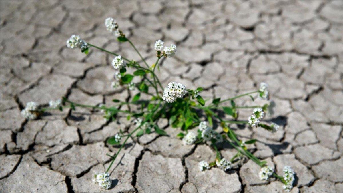 Türkiye’nin yeni yol haritası belirlendi: İklim Şurası'nda alınan 217 önemli karar açıklandı