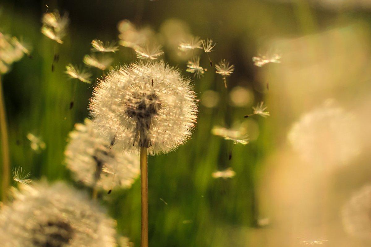 Kan grubu fark etmez, bu besinler kanı temizliyor! Yalnız bir şeye dikkat...