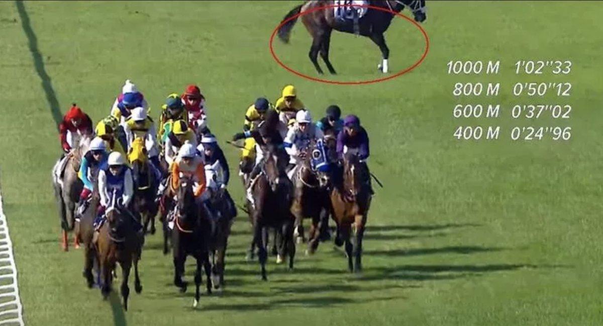 Gazi'de sakatlanan Dollar Man, uyutulacak