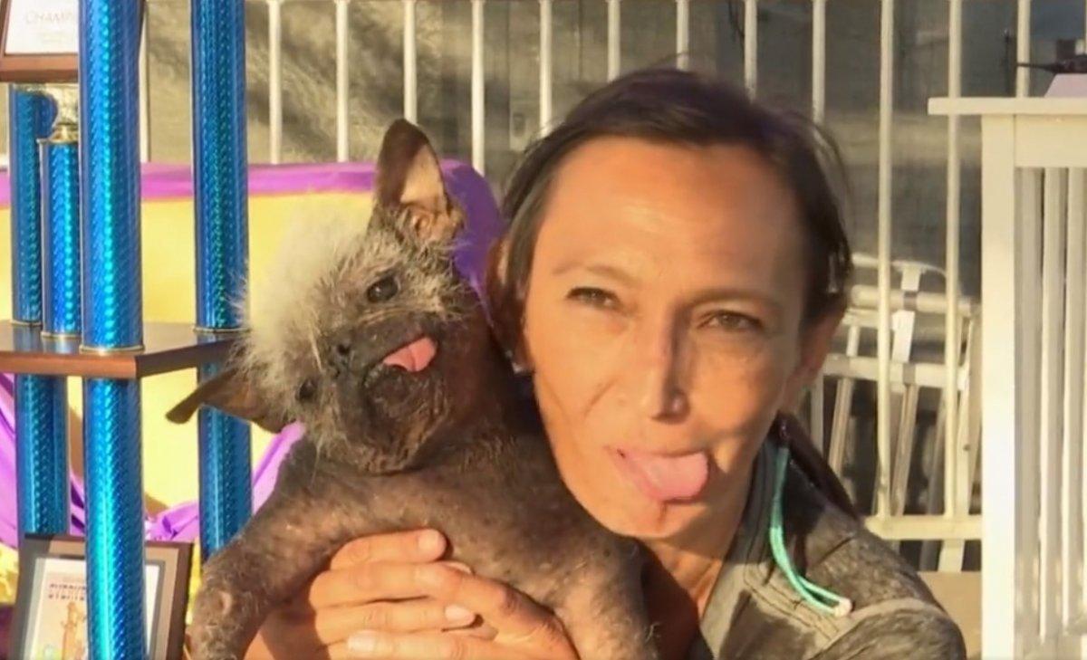 Dünyanın en çirkin köpeği seçildi