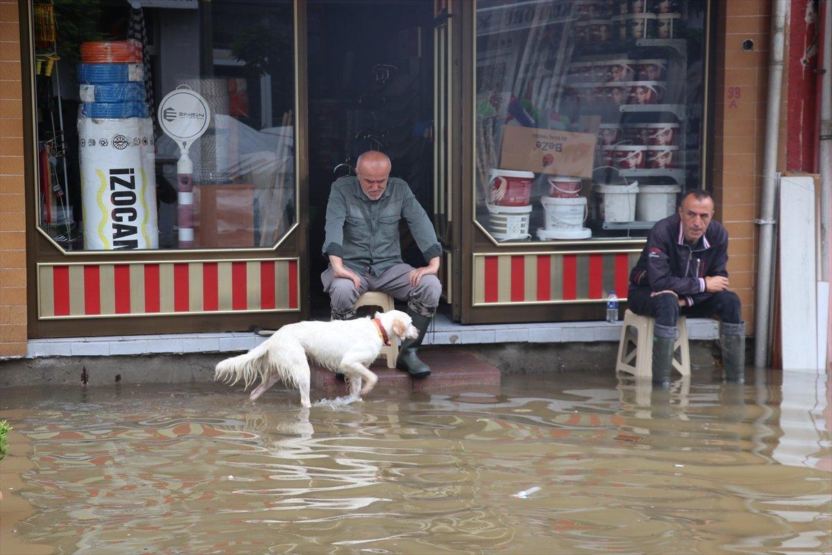 Zonguldak'ta şiddetli yağışlar Filyos Çayı'nı taşırdı