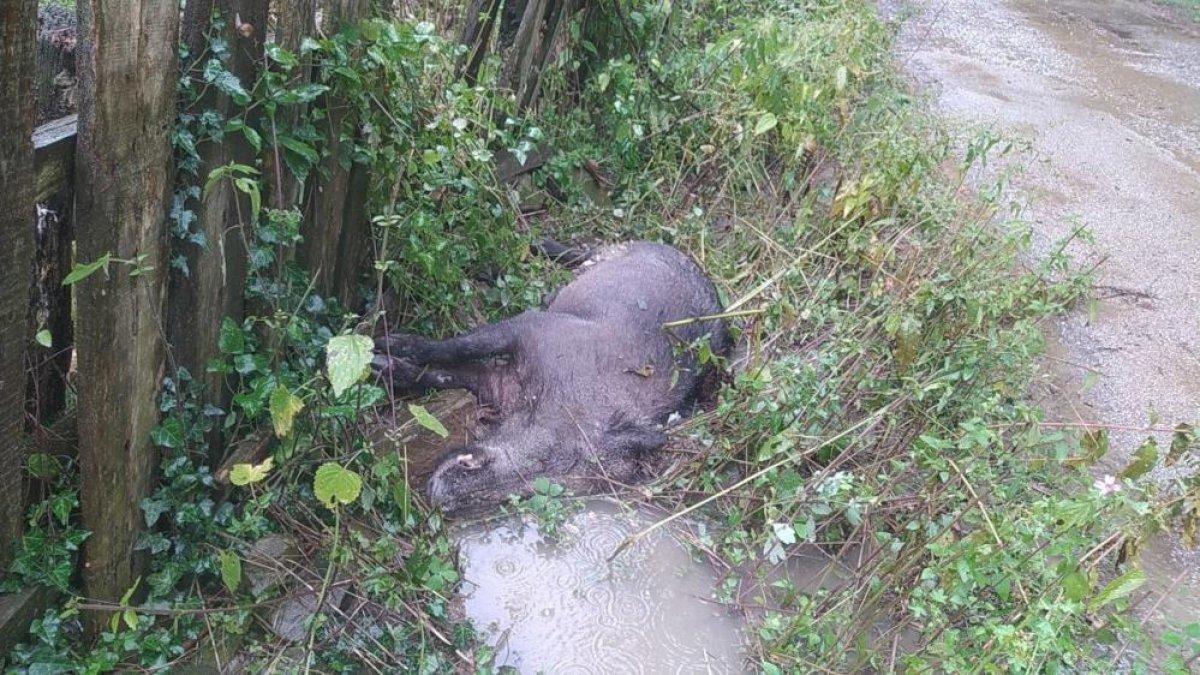 Karabük'te sel büyük yıkıma yol açtı