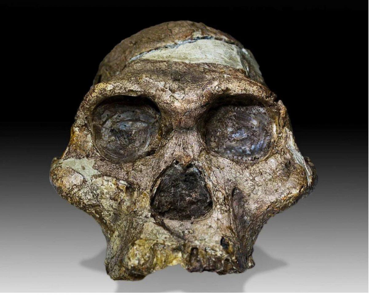 İnsanlığın kültürel varlığına dair yeni gelişme