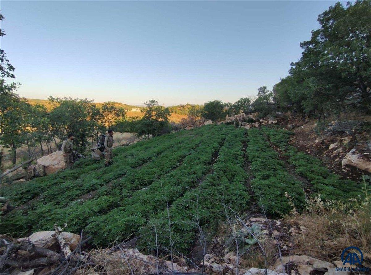 Diyarbakır'da Eren Abluka-19 operasyonu başlatıldı